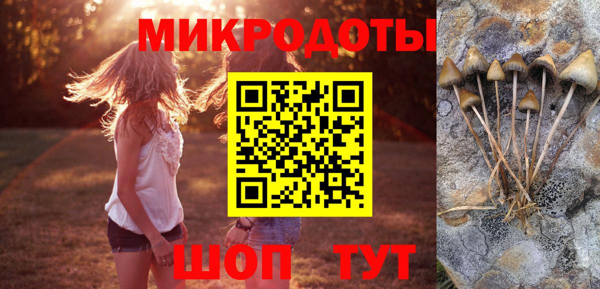 Галлюциногенные грибы Psilocybine cubensis  Вход с VPN  Ирбит 