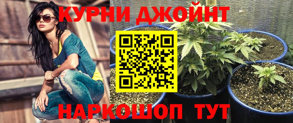 Марихуана семена  Канабис конопля  МАРИХУАНА марихуана  Вход с VPN  Ирбит  Бошки марихуана ГИДРОПОН 